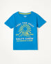 Boys Graphic T Shirt