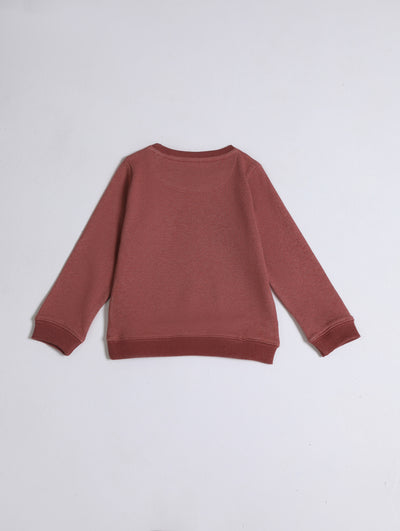 Boys Graphic Sweatshirt