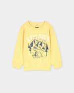 Boys Typography Sweatshirt - Engine - Buy Now