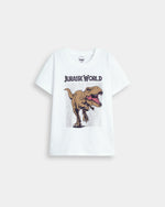 Boys T Shirt - Engine - Buy Now