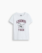 Boys T Shirt - Engine - Buy Now
