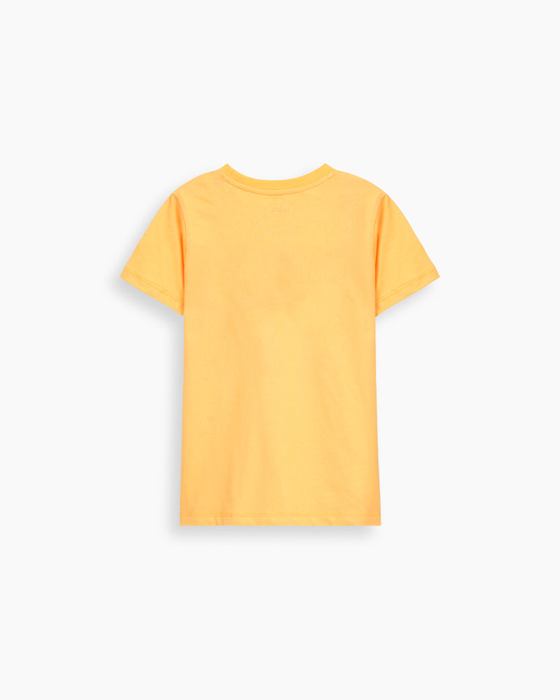 Boys T Shirt - Engine - Buy Now