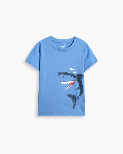 Boys T Shirt