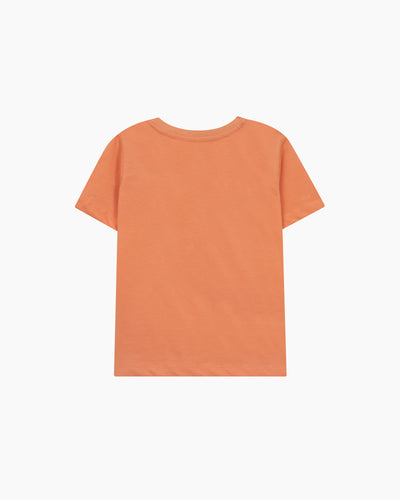 Boys T Shirt