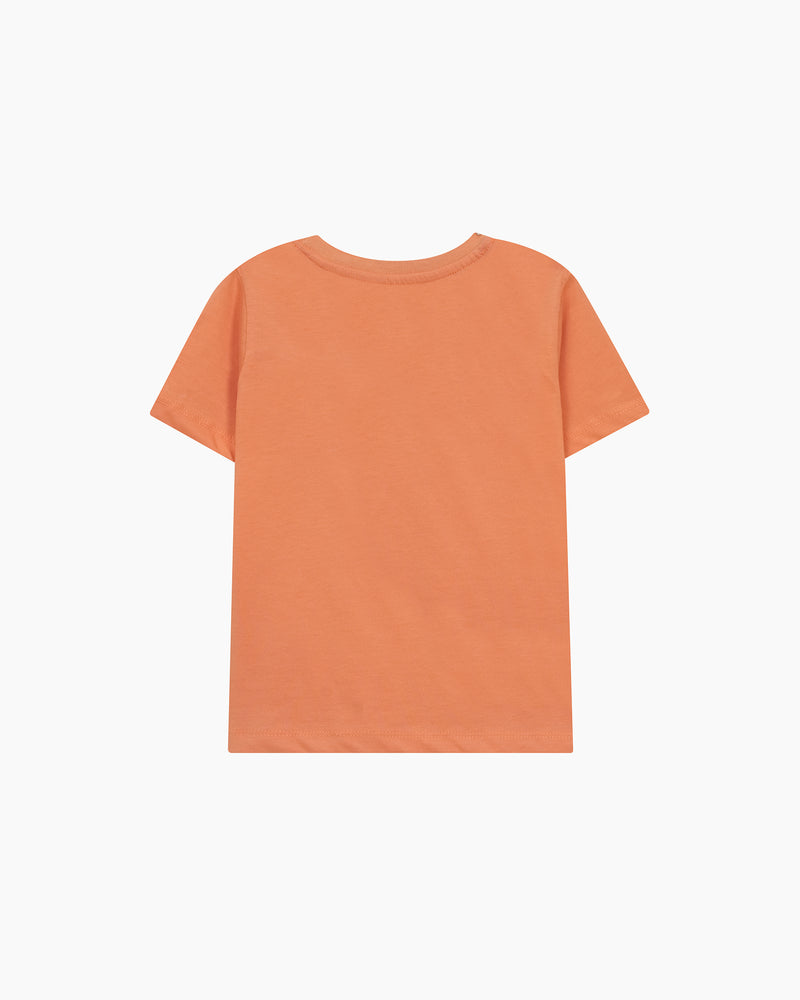 Boys T Shirt - Engine - Buy Now