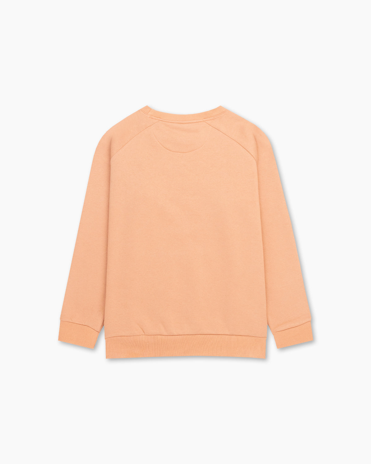 Women Sweatshirt - Engine - Buy Now