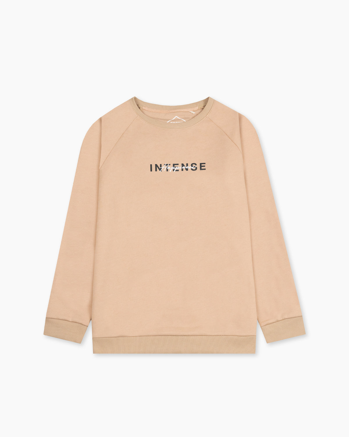 Men Sweatshirt