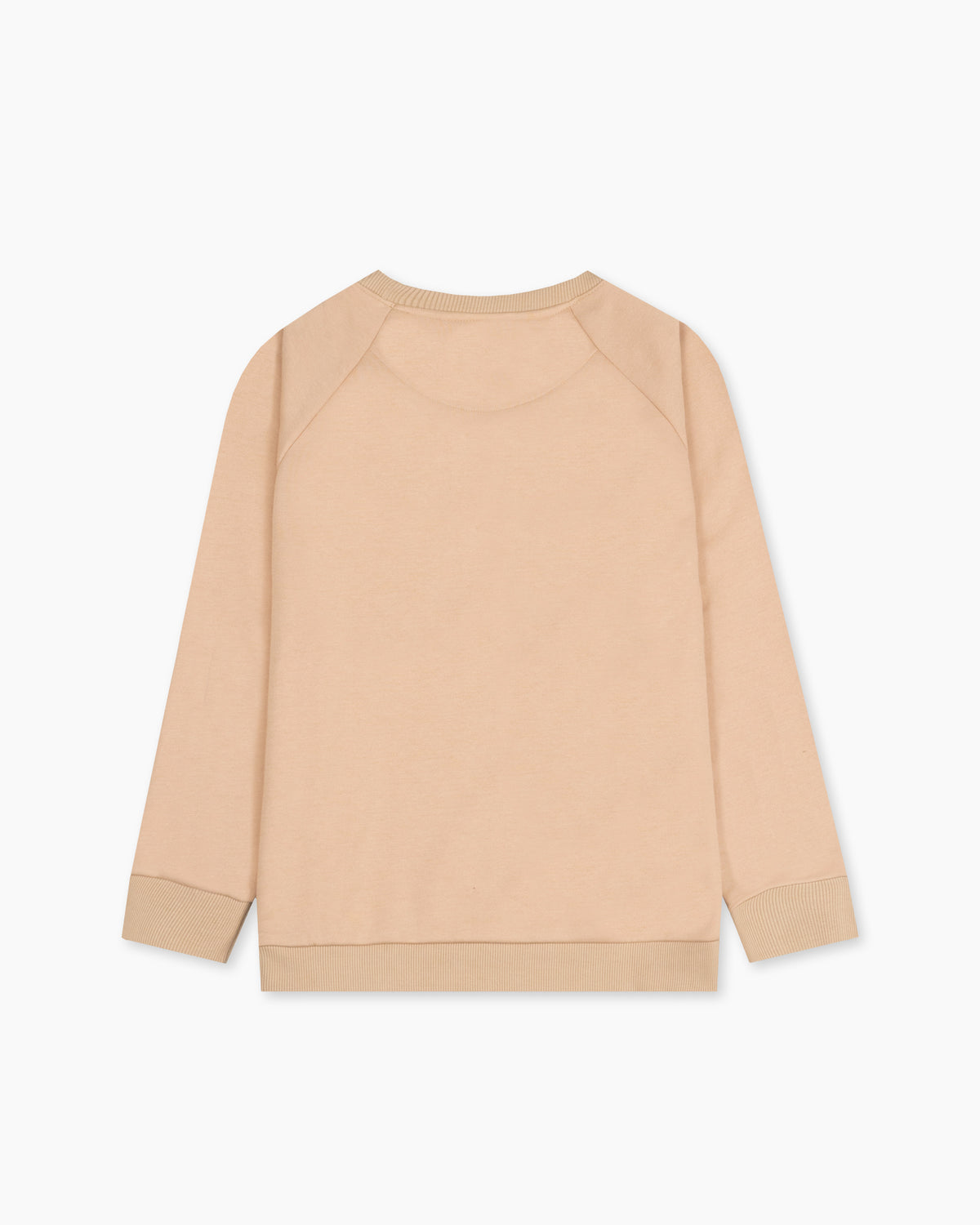 Men Sweatshirt