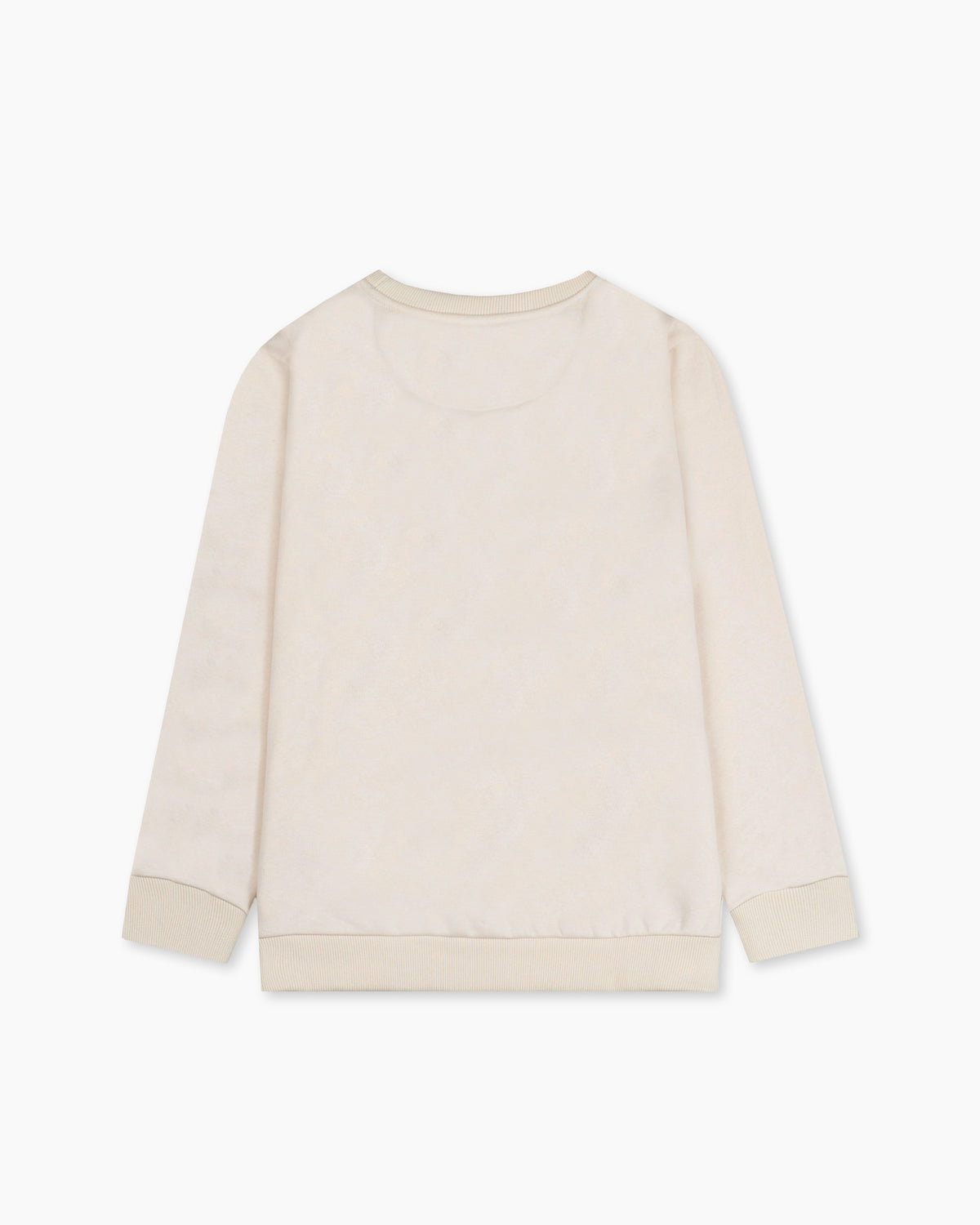 Men Sweatshirt