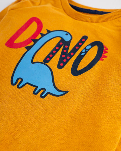 Boys Fashion Sweatshirt