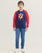 Sweat Shirt For BOYS - ENGINE