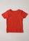 Graphic Tee For BOYS - ENGINE