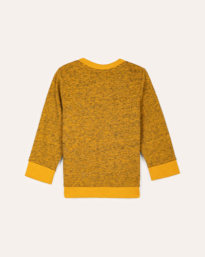 Boys Fashion Sweatshirt