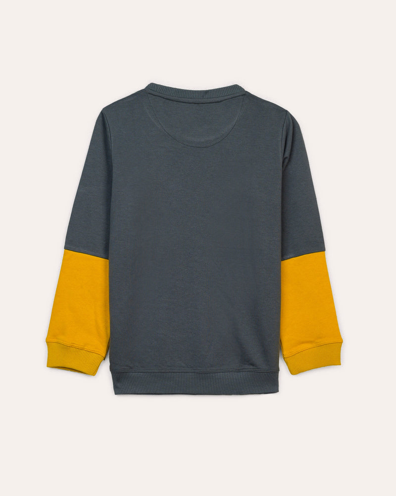 Boys Fashion Sweatshirt - Engine - Buy Now