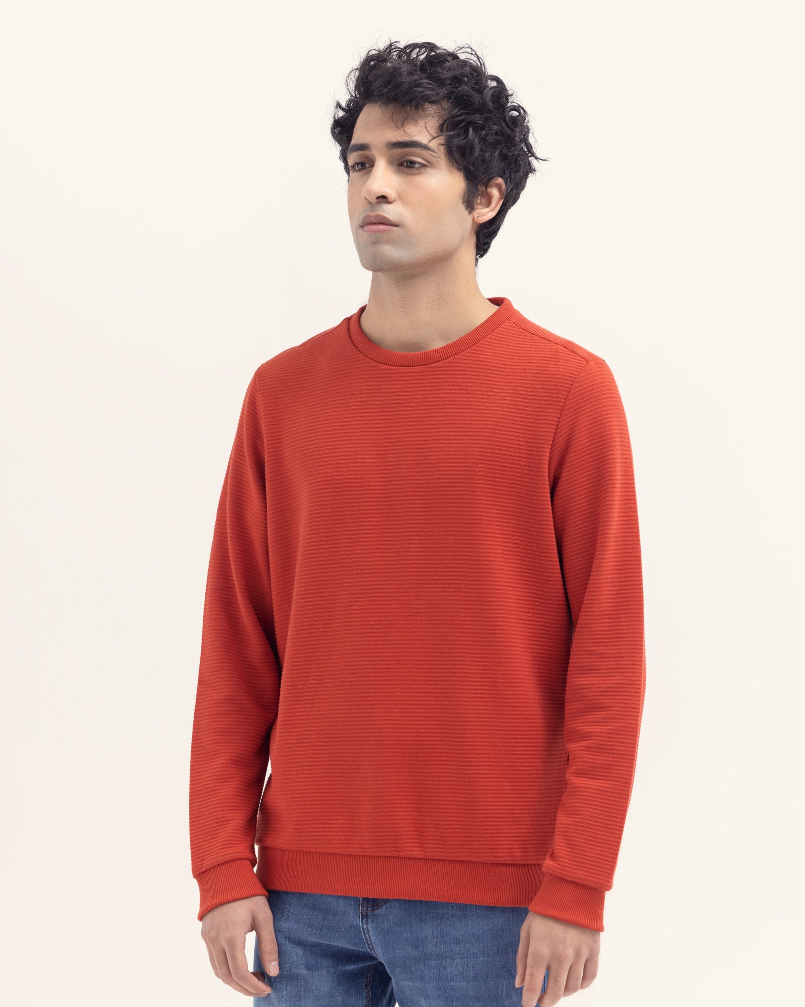Men Basic Sweat Shirt