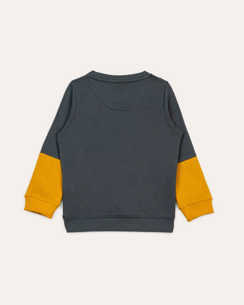 Boys Fashion Sweatshirt - Engine - Buy Now