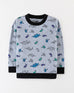 Boys Grey Color Terry Fashion Sweatshirt