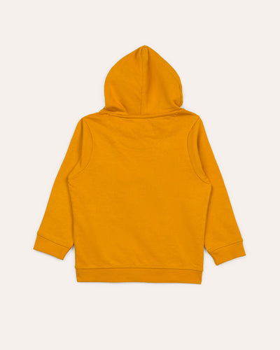 Boys Fashion Hoodie